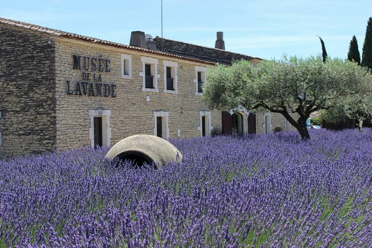 Gite Rural "Chez Paulette" - Provence - Luberon Кавайон Екстер'єр фото
